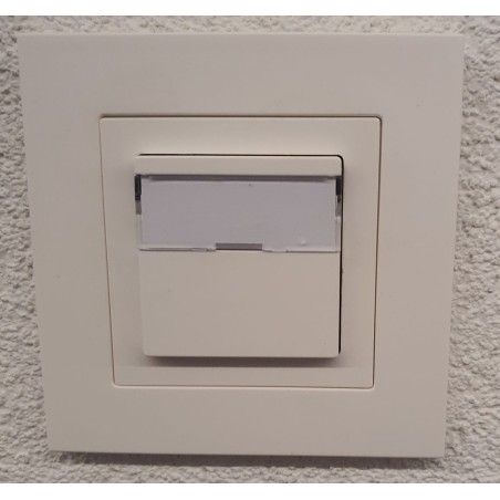 copy of PLAQUETTE EDIZIO 57.5x27.5x.08mm